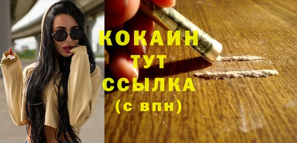 твердый Волоколамск