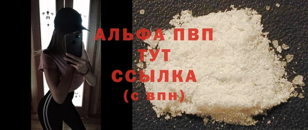 эйфоретик Вяземский