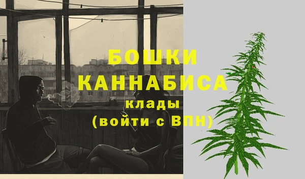 эйфоретик Вяземский