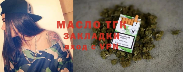 эйфоретик Вяземский