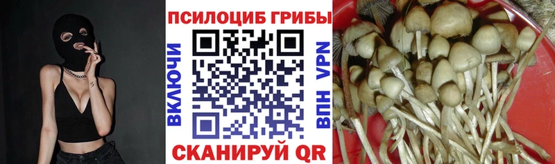 Галлюциногенные грибы GOLDEN TEACHER  маркетплейс клад  Дудинка 